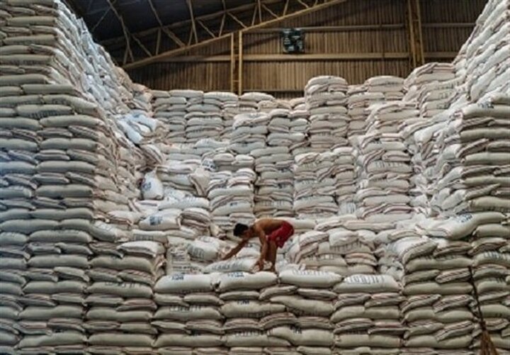 توزیع ۹۵۴ تُن برنج تنظیمبازاری در استان قزوین