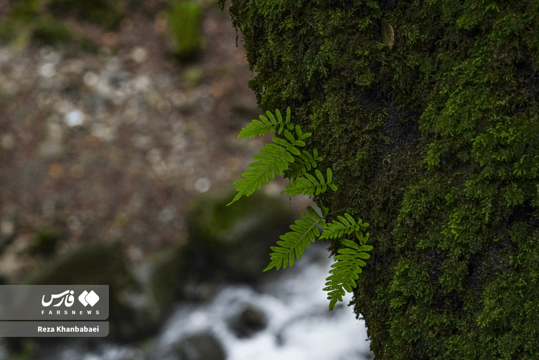عکس/ مسیر رویایی خلخال به اسالم