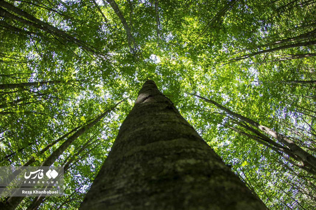 عکس/ مسیر رویایی خلخال به اسالم