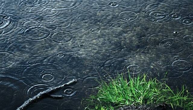 بارش باران و کاهش دما در برخی استانها