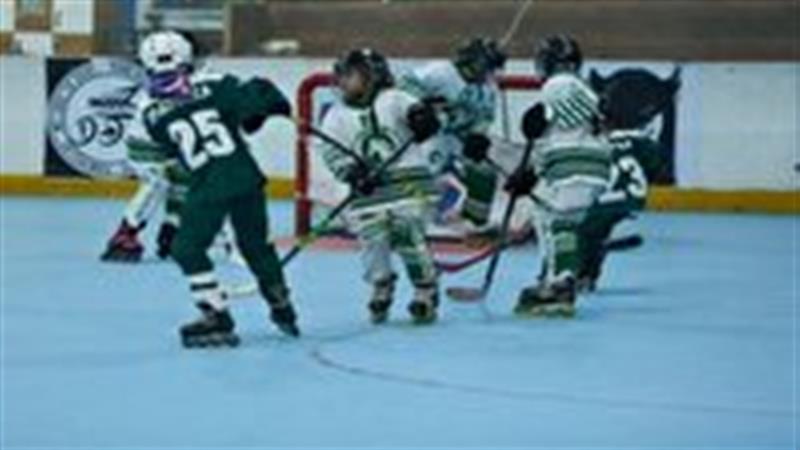 نایب‌قهرمانی تیم اسکیت اینلاین هاکی بانوان فونیکس قم