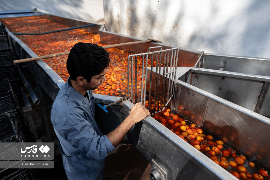 در مسیر توسعه صنایع تبدیلی