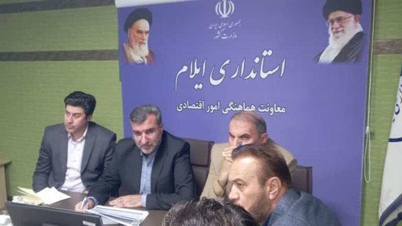 معاون استاندار: در پرداخت تسهیلات در ایلام جهش داشتیم/ تضامین و وثایق همچنان مشکل تسهیلات