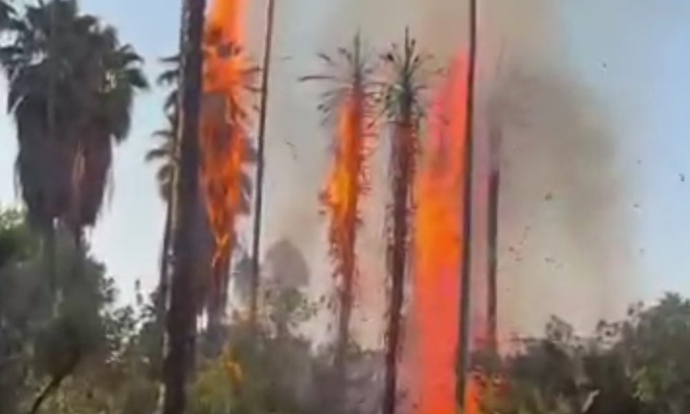 روایت مسئولان محلی از آتشسوزی منطقه گردشگری چشمه بلقیس چرام