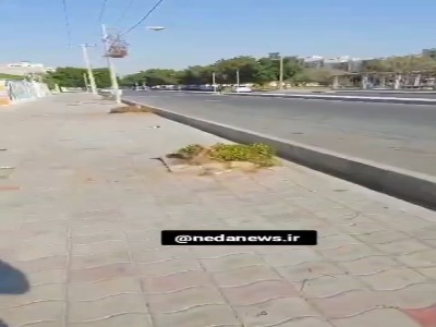 قطع درختان شهر بندرعباس ادامه دارد...