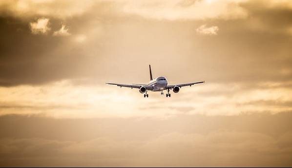 فعالیت ۲ دفتر خدمات مسافرتی و جهانگردی شیراز تعلیق شد