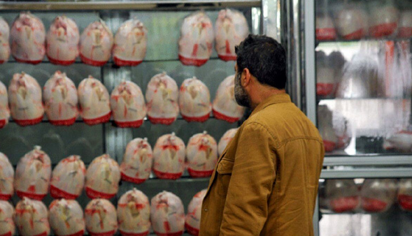 مرغ در بازار تهران زیاد شد