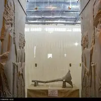 گسترش موزه جهانی تخت جمشید به کجا رسید؟