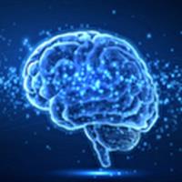 غذاهای فوق‌فرآوری‌شده خطر زوال شناختی را افزایش می‌دهند