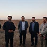 بازدیداستاندار قم از محل احداث نیروگاه خورشیدی در جاده قم به گرمسار