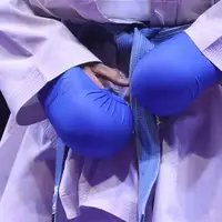 شکایت از روند برگزاری انتخابات فدراسیون کاراته