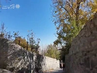 روایت دیدنی از پاییز در کوچه‌باغ‌های همدان