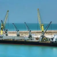 تخلیه 22 هزار تن گندم وارداتی در بندر بوشهر