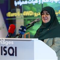 سخنگوی دولت: هرجا به بخش خصوصی اعتماد کردیم، کشور قوی‌تر از قبل ایستاد