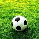 بازدید تیم داوری از زمین عجیب و غریب چالوس برای بازی شهرداری نوشهر – نود ارومیه 