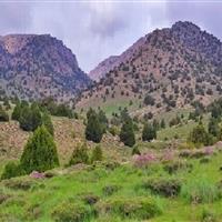 وجود ۶۰۰ گونه گیاهی و جانوری در سیزدهمین ذخیرگاه زیست کره