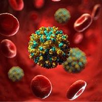 ارائه خدمات رایگان هپاتیت درمراکز مشاوره بیماری‌های رفتاری خراسان شمالی