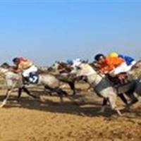 معرفی سوارکاران برتر قمی