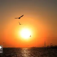  غروب دیدنی ساحل خواجه عطای بندرعباس