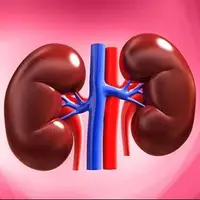 ۴ اصل مهم برای زنده نگه‌داشتن کلیه