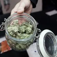 کشف ۶۸ کیلوگرم مخدر «گل» از یک قاچاقچی 