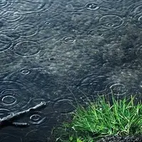 بارش باران و کاهش دما در برخی استان‌ها