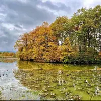 زیبایی طبیعت پاییزی تالاب سوستان در لاهیجان