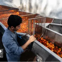 در مسیر توسعه صنایع تبدیلی