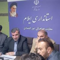 معاون استاندار: در پرداخت تسهیلات در ایلام جهش داشتیم/ تضامین و وثایق همچنان مشکل تسهیلات