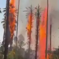 روایت مسئولان محلی از آتش‌سوزی منطقه گردشگری چشمه بلقیس چرام