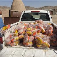 معدوم‌سازی فرآورده دامی غیرقابل مصرف در زاهدان