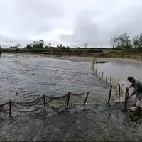 جمع‌آوری سد غیرمجاز ماهیگیری در رودخانه ناورود تالش