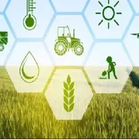 پرداخت ۱۵ هزار میلیارد ریال غرامت به کشاورزان خسارت‌دیده