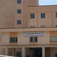 ۱۰ درصد شرکت های پارک های علم و فناوری کشور باید به صنایع خلاق اختصاص یابد