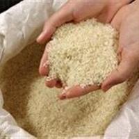 ثبات در بازار برنج خراسان جنوبی