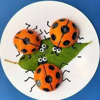 کاردستی‌ای با عطر مرکبات و خیال