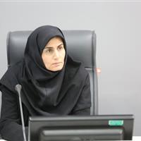 معاون استاندار زنجان: حل مشکلات به مدیران جهادی و کارآمد نیاز دارد