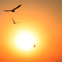 غروب ساحل خواجه عطای بندرعباس