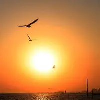 غروب ساحل خواجه عطای بندرعباس