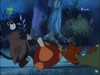 چه کتکی میخورن روباه و گربه نره