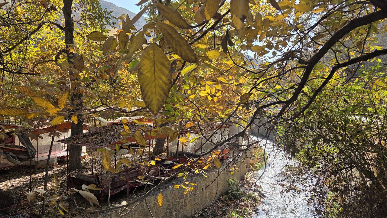 طبیعت پاییزی زشک