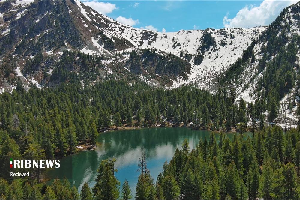 عکس‌های منتخب جهان 