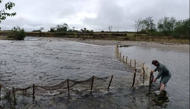 جمعآوری سد غیرمجاز ماهیگیری در رودخانه ناورود تالش