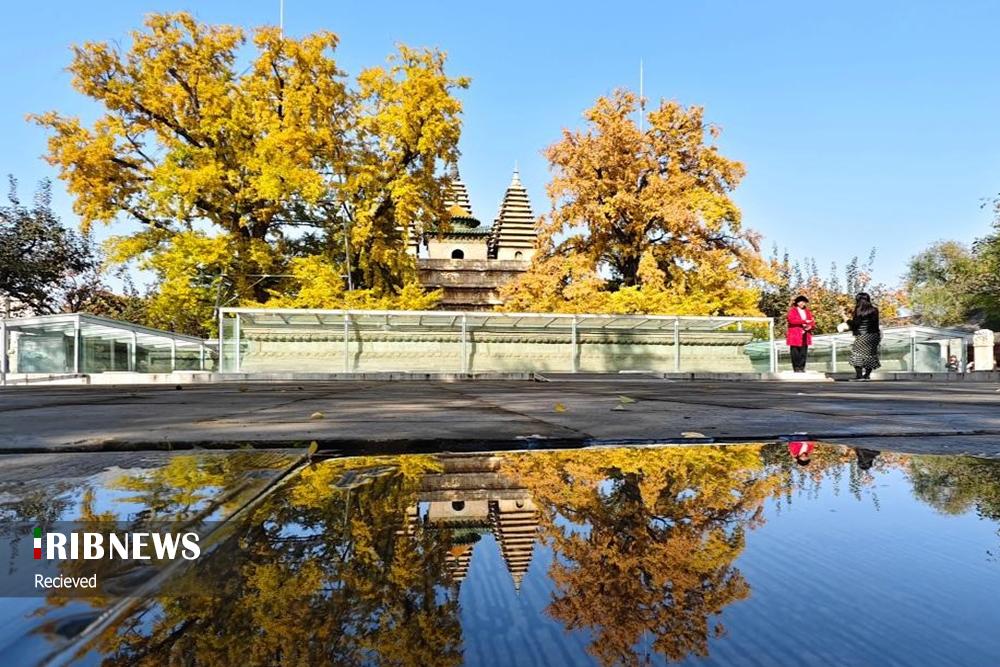 عکس‌های منتخب جهان 