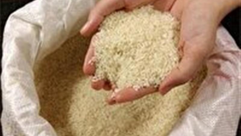 ثبات در بازار برنج خراسان جنوبی