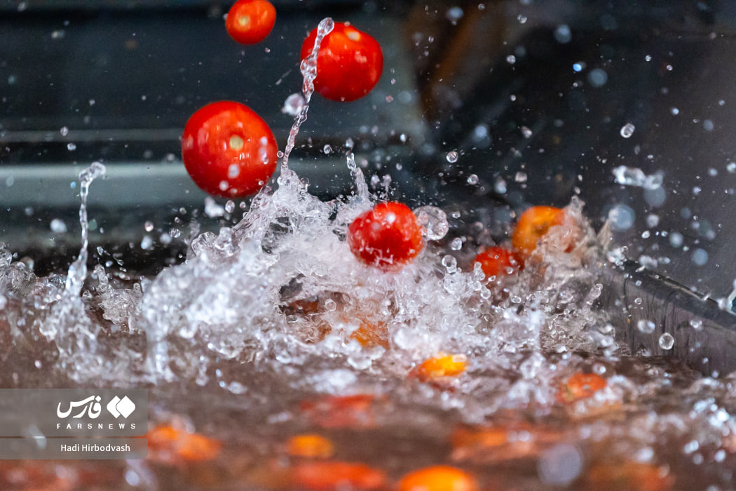 در مسیر توسعه صنایع تبدیلی