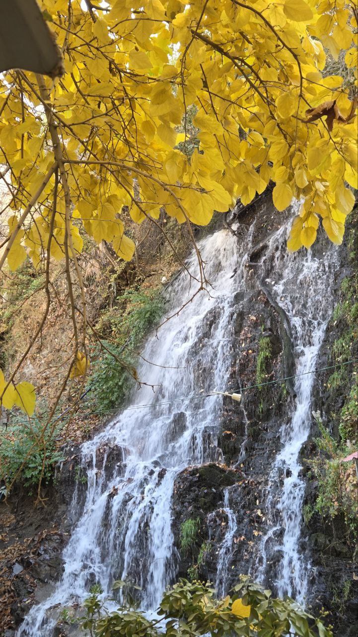 طبیعت پاییزی زشک