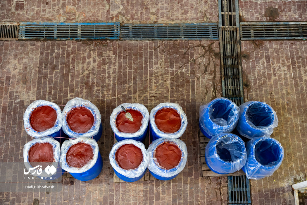 در مسیر توسعه صنایع تبدیلی