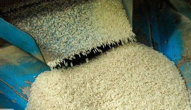 کاهش محسوس اختلاف قیمت برنج شالیکوبیها با بازار کشور