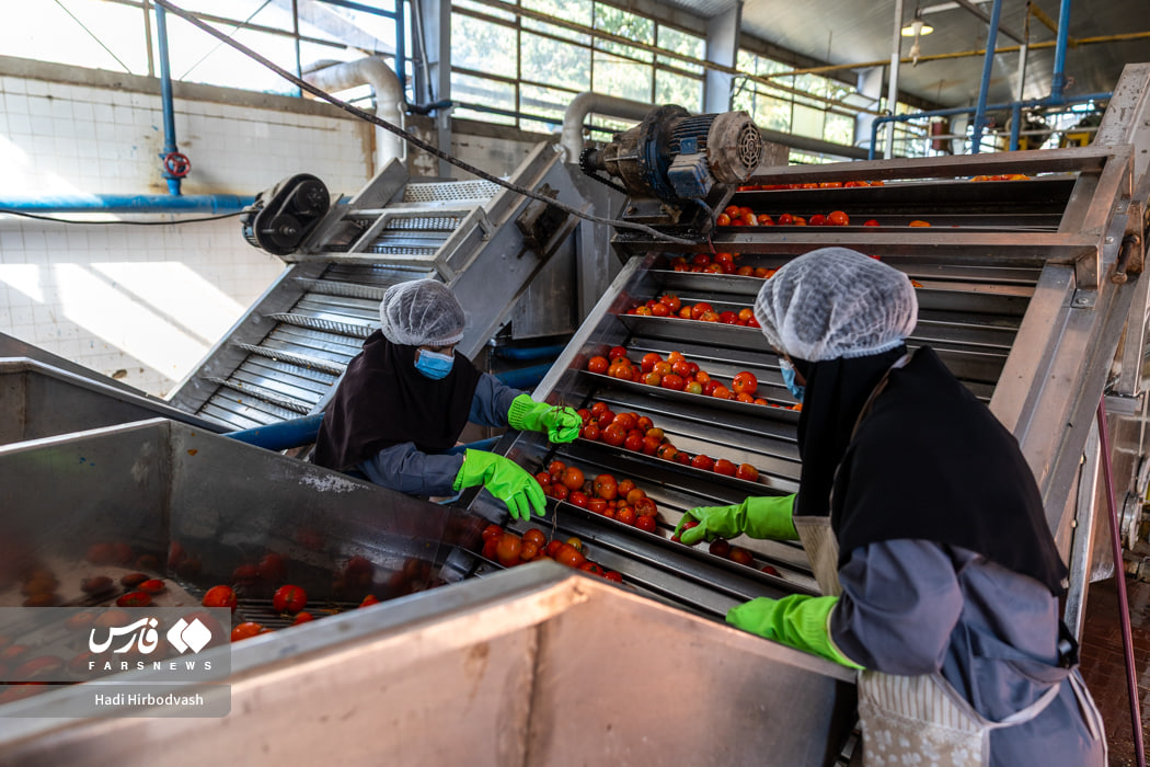در مسیر توسعه صنایع تبدیلی